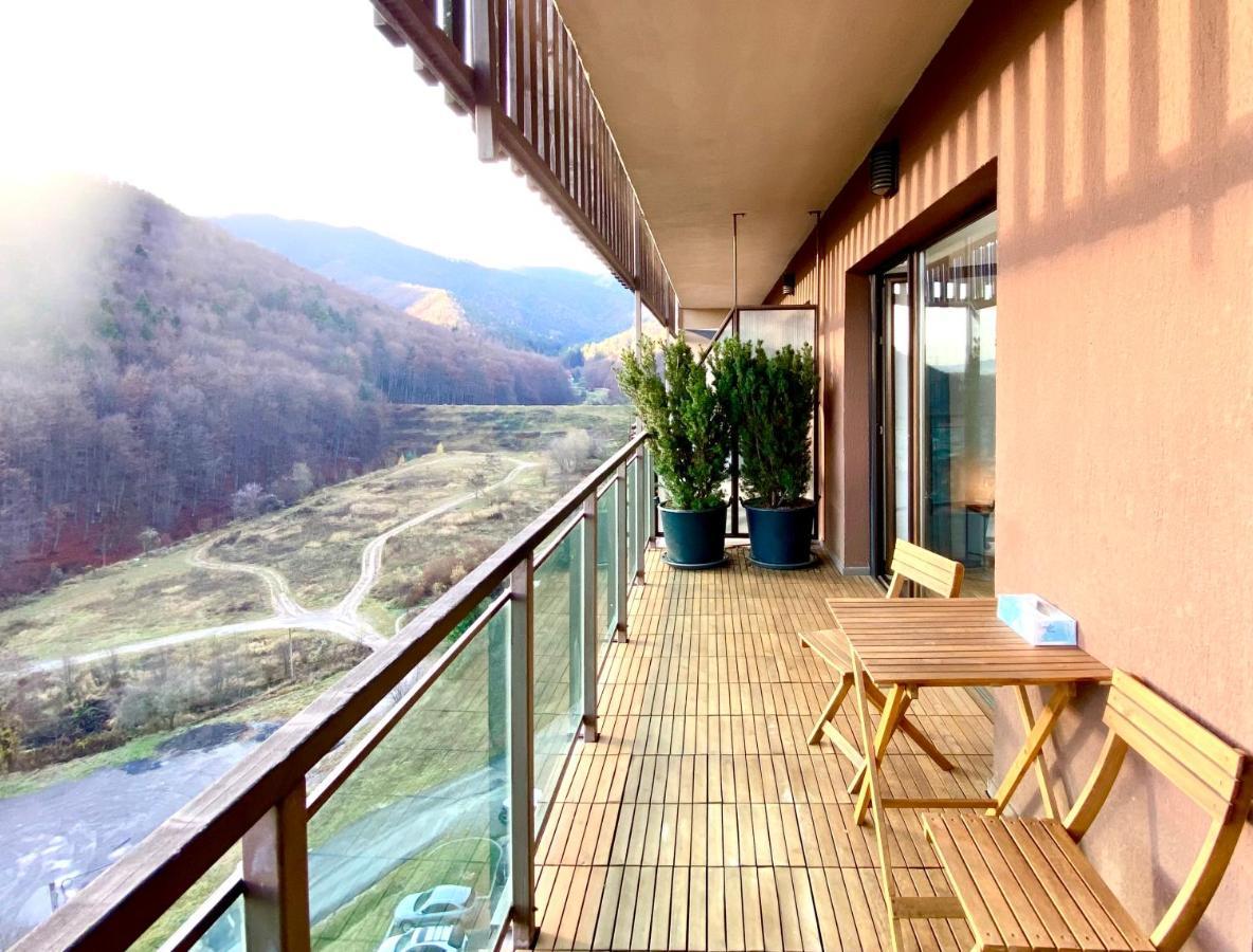 Cosy Hollow - Pet Friendly Braszów Zewnętrze zdjęcie