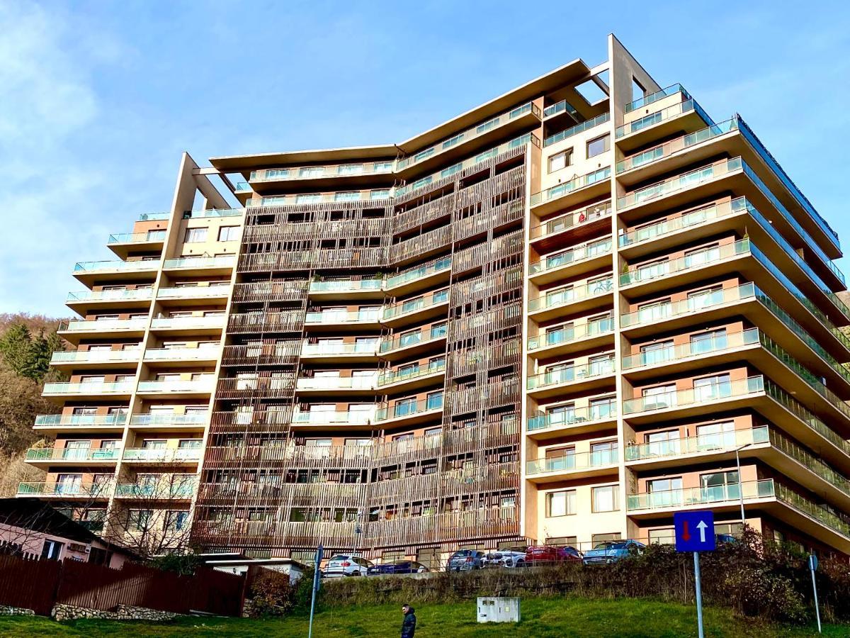 Cosy Hollow - Pet Friendly Braszów Zewnętrze zdjęcie