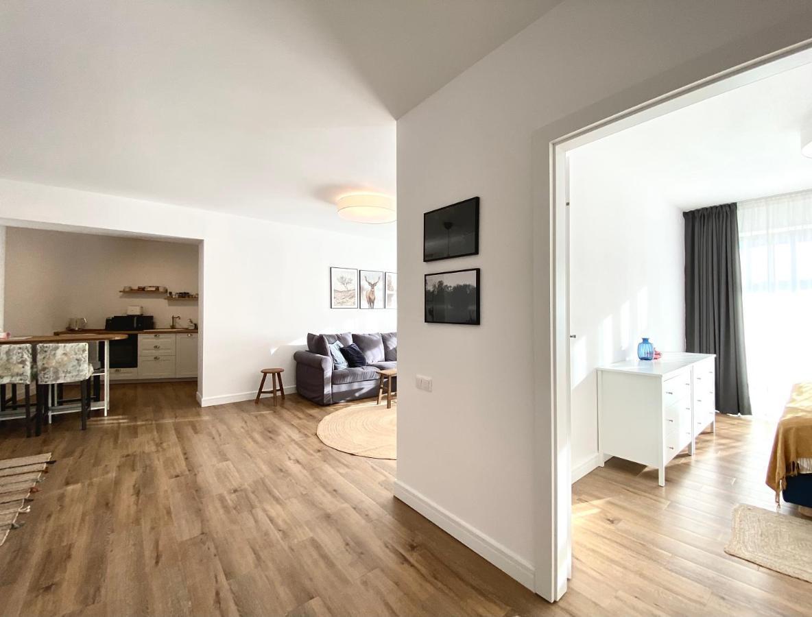 Cosy Hollow - Pet Friendly Braszów Zewnętrze zdjęcie