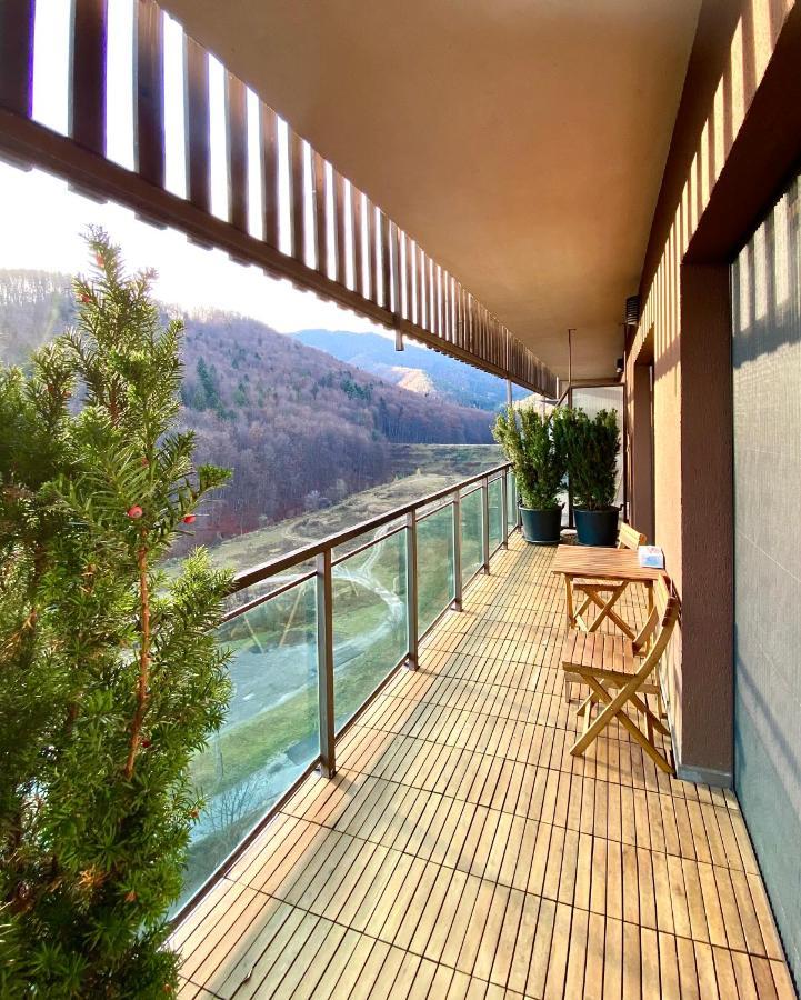 Cosy Hollow - Pet Friendly Braszów Zewnętrze zdjęcie